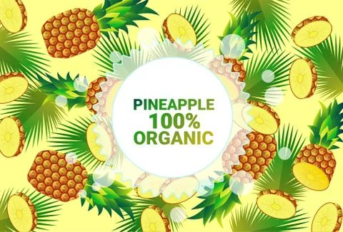 Pineapple fruit colorful circle copy space organic over fresh fruits pattern Stock Illustration