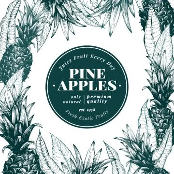 Pineapple fruit design template. Hand drawn vector fruit illustration. Engraved Stock Illustration