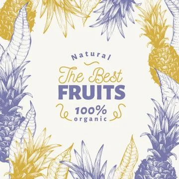Pineapple fruit design template. Hand drawn vector fruit illustration. Engraved Stock Illustration
