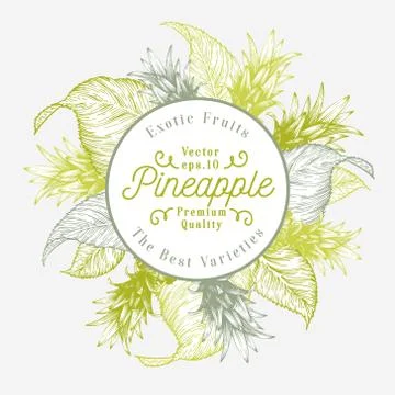 Pineapple fruit design template. Hand drawn vector fruit illustration. Engraved Stock Illustration