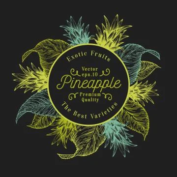 Pineapple fruit design template. Hand drawn vector fruit illustration. Engraved Stock Illustration
