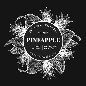 Pineapple fruit design template. Hand drawn vector fruit illustration on chalk Illustrazione stock