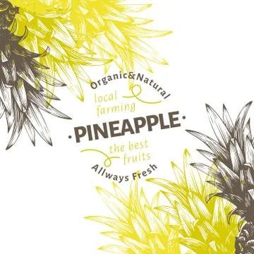 Pineapple fruit design template. Hand drawn vector fruit illustration. Engraved Stock Illustration