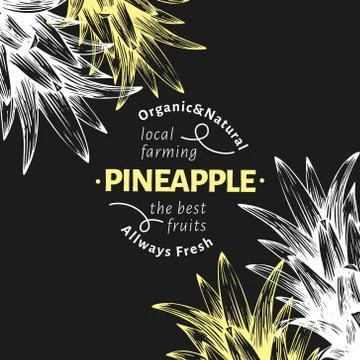 Pineapple fruit design template. Hand drawn vector fruit illustration on chalk Stock Illustration