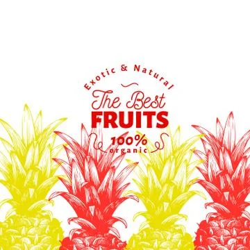 Pineapple fruit design template. Hand drawn vector fruit illustration. Engraved Illustrazione stock