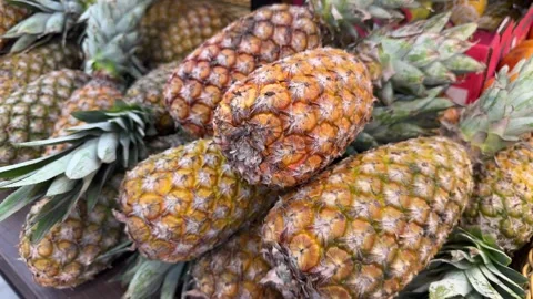 Pineapple fruit on display at a fair to sell to customers Stock Footage 276714309