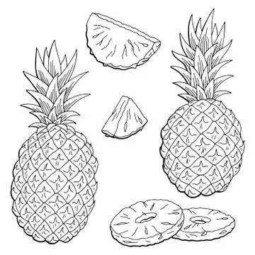 Pineapple fruit graphic black white isolated sketch illustration vector Stock Illustration