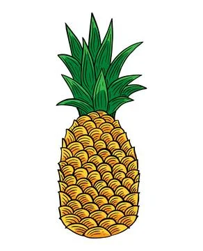 Pineapple Fruit hand drawn engraved sketch drawing vector Stock Illustration