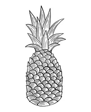 Pineapple Fruit hand drawn engraved sketch drawing vector Stock-Illustration
