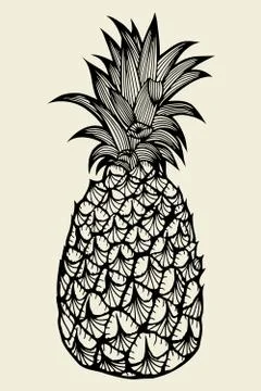 Pineapple fruit Hand drawn Stockillustratie