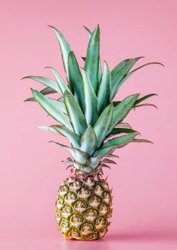 Pineapple fruit isolated on pink background. Stock Photos