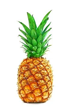 Pineapple Fruit on isolated white background with shadow Stock Illustration