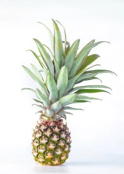 Pineapple fruit isolated on white background with clipping path. Stock Photos
