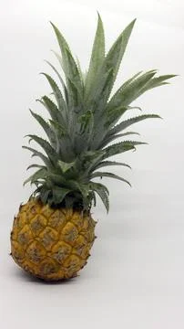 Pineapple fruit isolated on white background Stock Photos