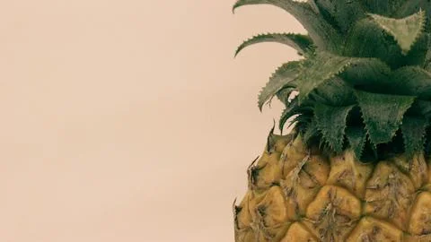 Pineapple fruit isolated on white background Stock Photos