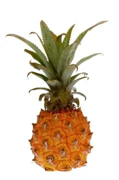 Pineapple fruit isolated on white background Stock Photos