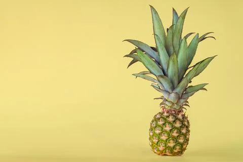Pineapple fruit isolated on yellow background. Stock Photos