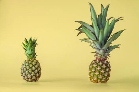 Pineapple fruit isolated on yellow background. Stock Photos