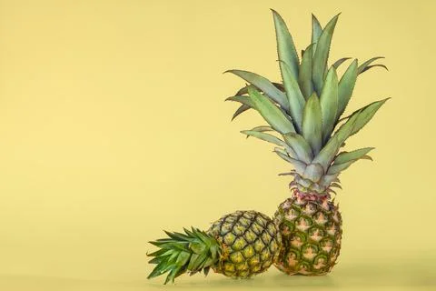 Pineapple fruit isolated on yellow background. Stock Photos