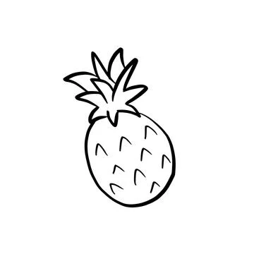 Pineapple fruit line art  Stock-Illustration