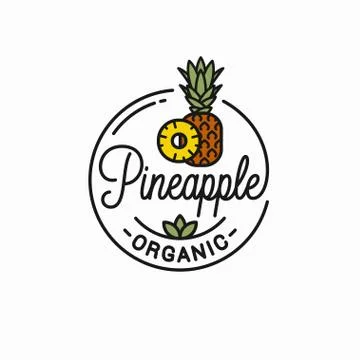 Pineapple fruit logo. Round linear of slice Stock Illustration