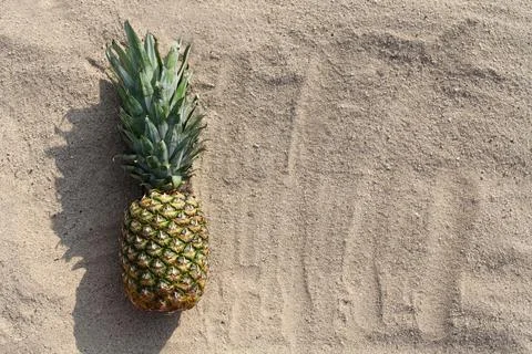 Pineapple fruit lying on a beach sand, empty copy space background, top view Stock Photos