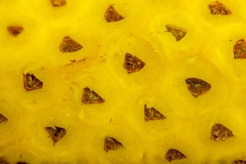 Pineapple fruit with outer skin cut through. Skin removed of a pineapple Stock Photos