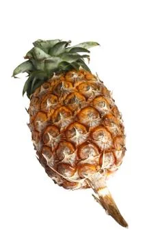 Pineapple fruit Stock Photos