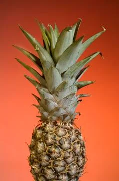Pineapple fruit Stock Photos