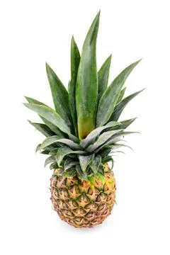 Pineapple fruit Stock Photos