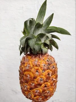 Pineapple fruit Фото