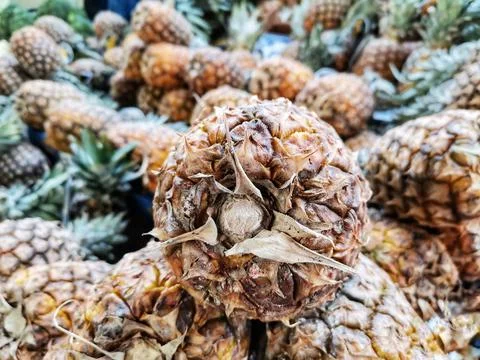 Pineapple fruit. Foto stock