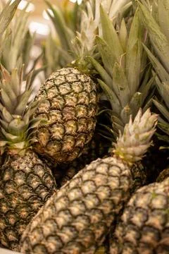 Pineapple fruit Stock Photos