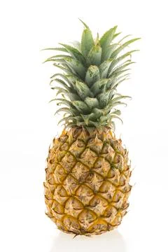Pineapple fruit 写真素材