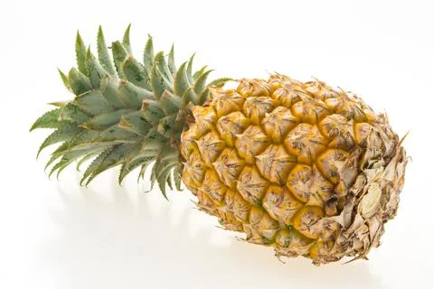 Pineapple fruit 写真素材