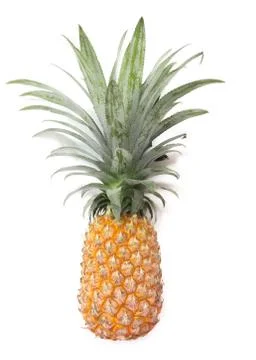 Pineapple fruit ripe on white Stock Photos