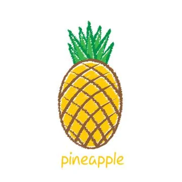 Pineapple fruit, sketch design vector Stock-Illustration