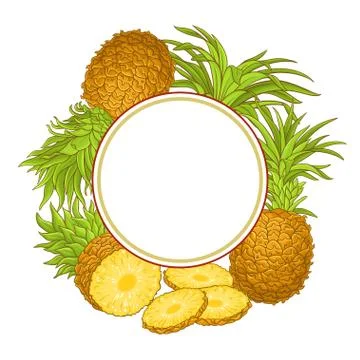 Pineapple fruit vector frame Illustrazione stock