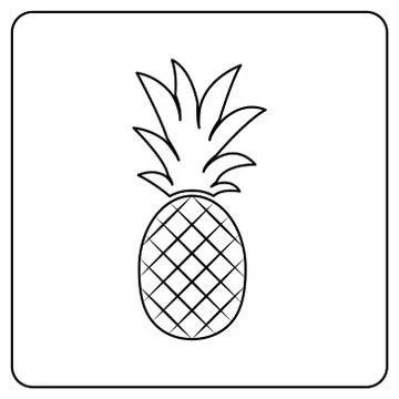 Pineapple fruit. Vector illustration. Stock Illustration