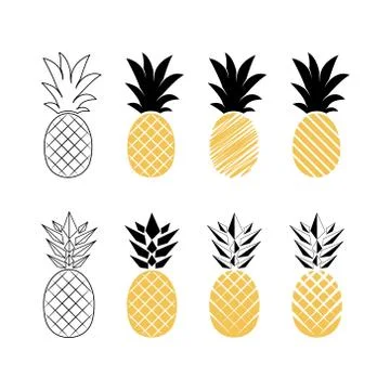 Pineapple fruit. Vector illustration. Stock Illustration