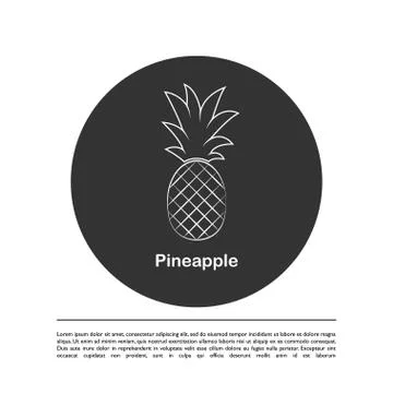 Pineapple fruit. Vector illustration. Stock Illustration