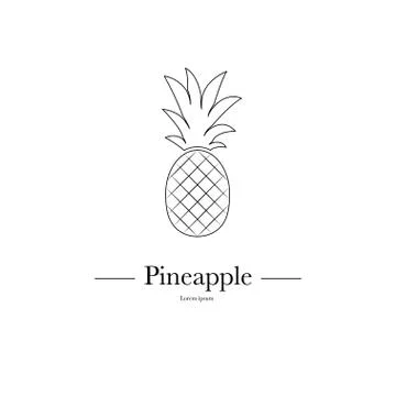 Pineapple fruit. Vector illustration. Stock Illustration