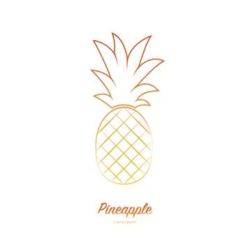 Pineapple fruit. Vector illustration. Stock Illustration
