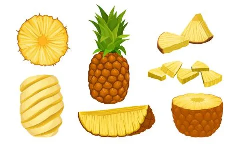 Pineapple Fruit Vector Isolated Set. Fresh Exotic Fruit Cut Into Slices and Stock Illustration