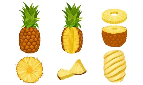 Pineapple Fruit Vector Isolated Set. Fresh Exotic Fruit Cut Into Slices and Stock Illustration