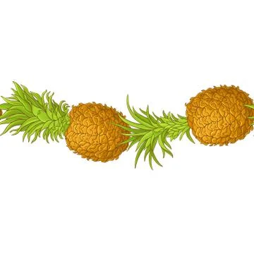 Pineapple fruit vector pattern Stock Illustration