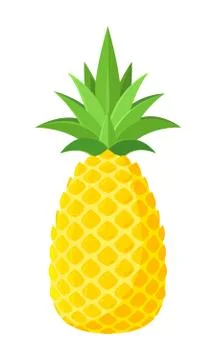 The Pineapple fruit on white background Stock Illustration