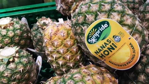 Pineapple fruits Stock Footage 291927441