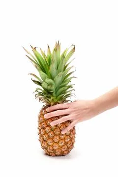 Pineapple grasped with one hand on white background Stock Photos