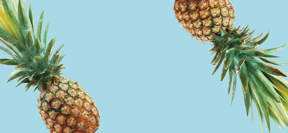 Pineapple on green background. Stock Photos